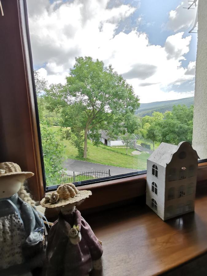 Strefa Ciszy -Lawenda Apartment Swieradow-Zdroj Bagian luar foto