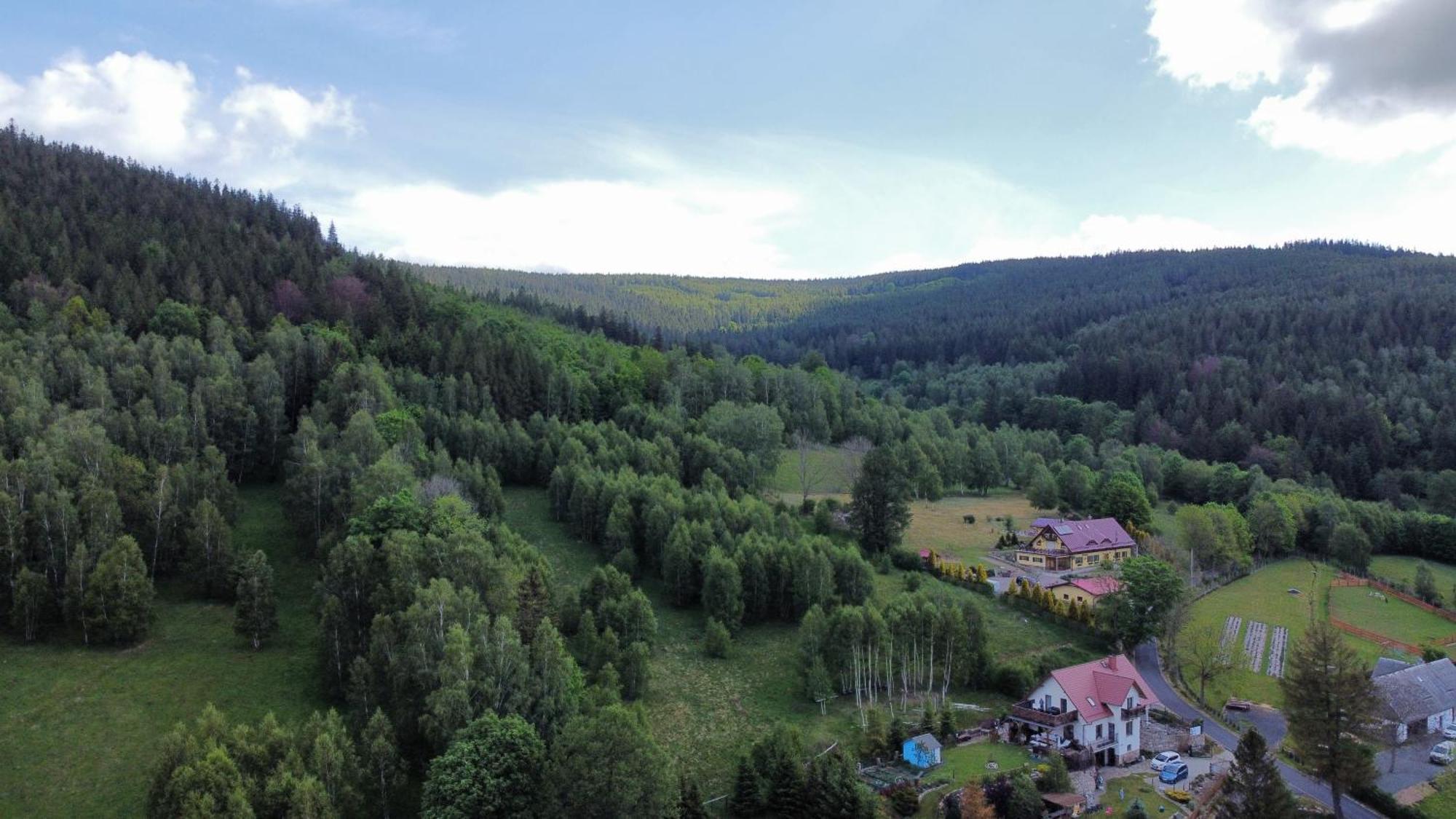 Strefa Ciszy -Lawenda Apartment Swieradow-Zdroj Bagian luar foto