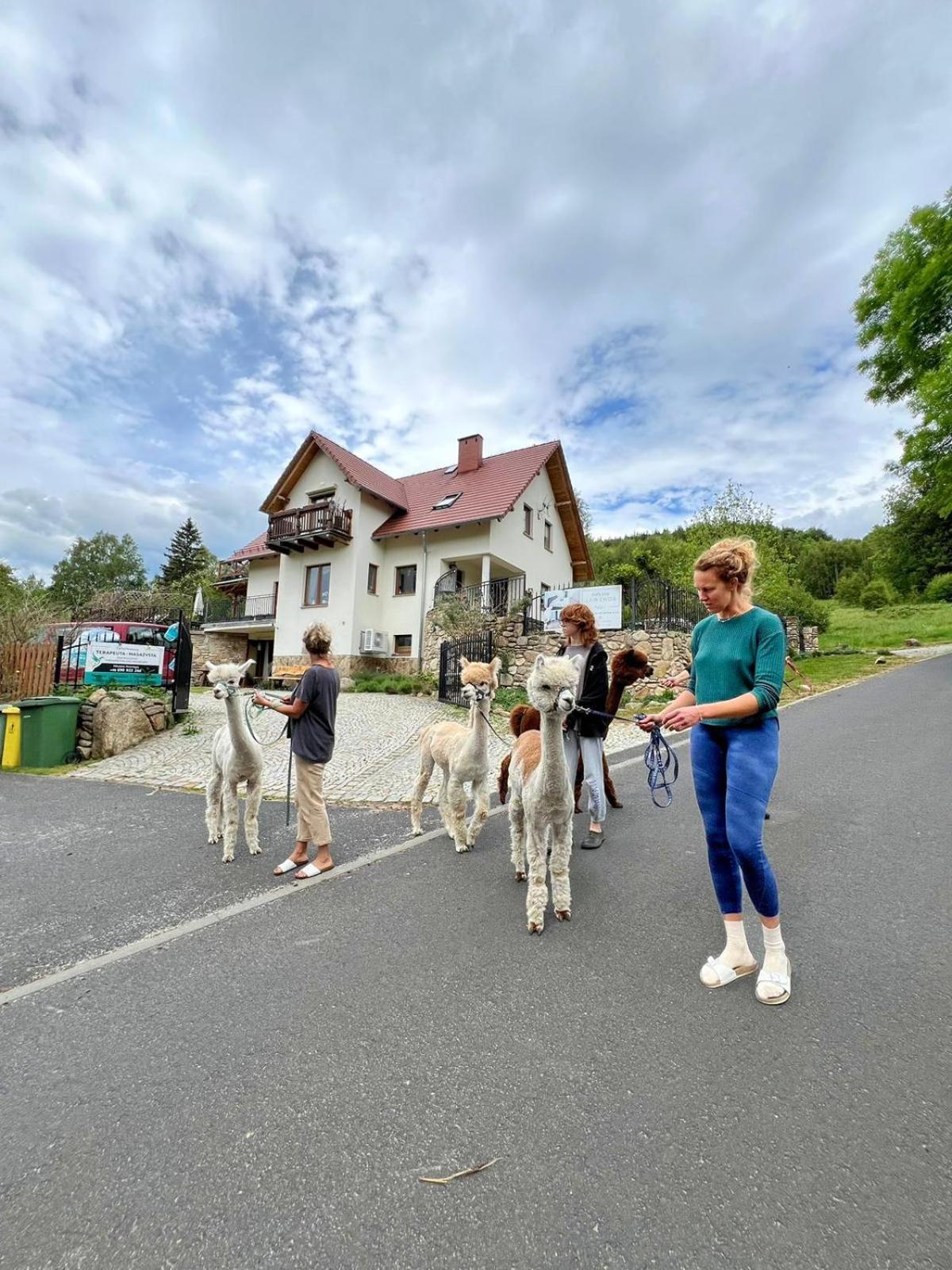 Strefa Ciszy -Lawenda Apartment Swieradow-Zdroj Bagian luar foto