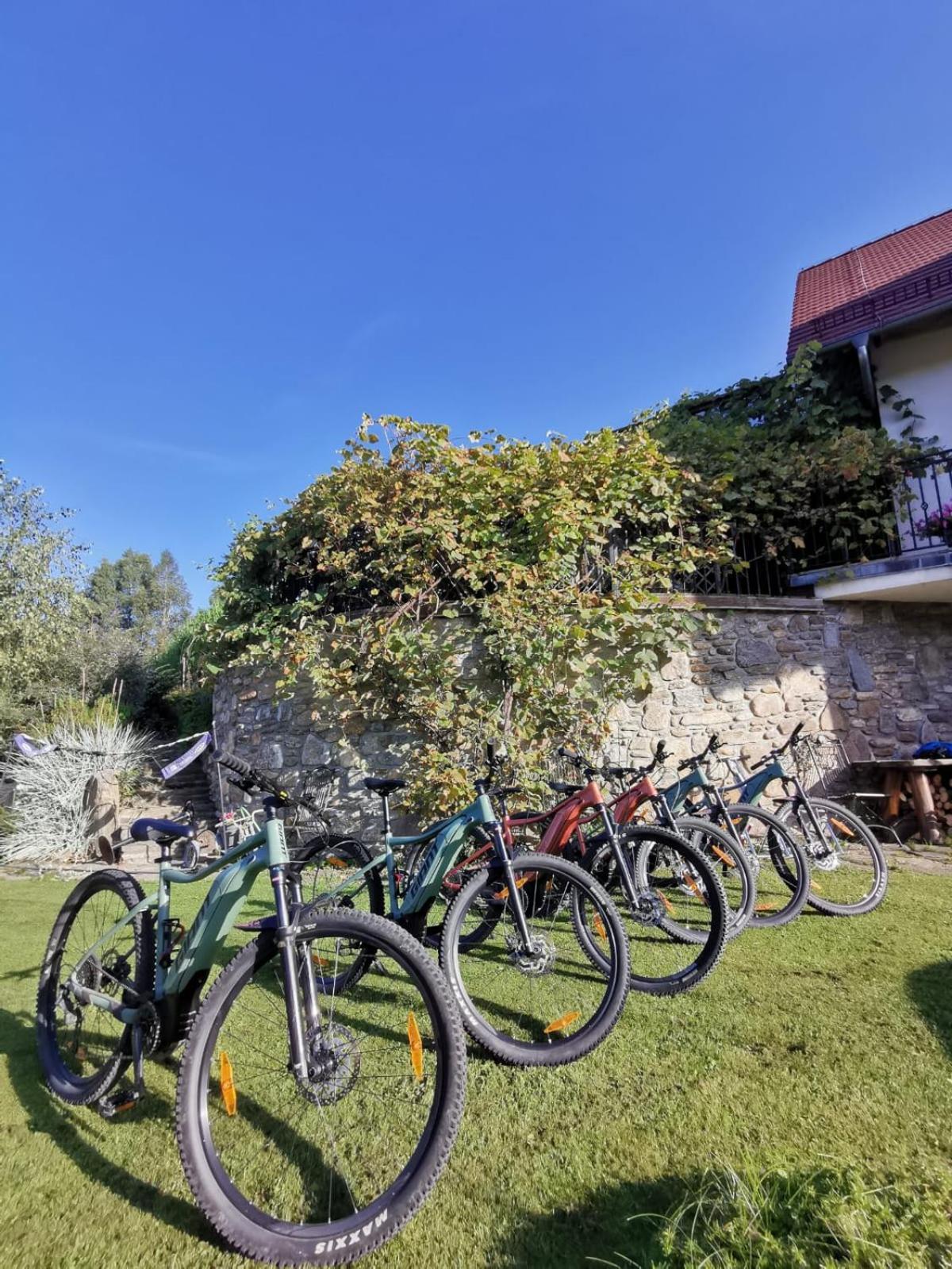 Strefa Ciszy -Lawenda Apartment Swieradow-Zdroj Bagian luar foto