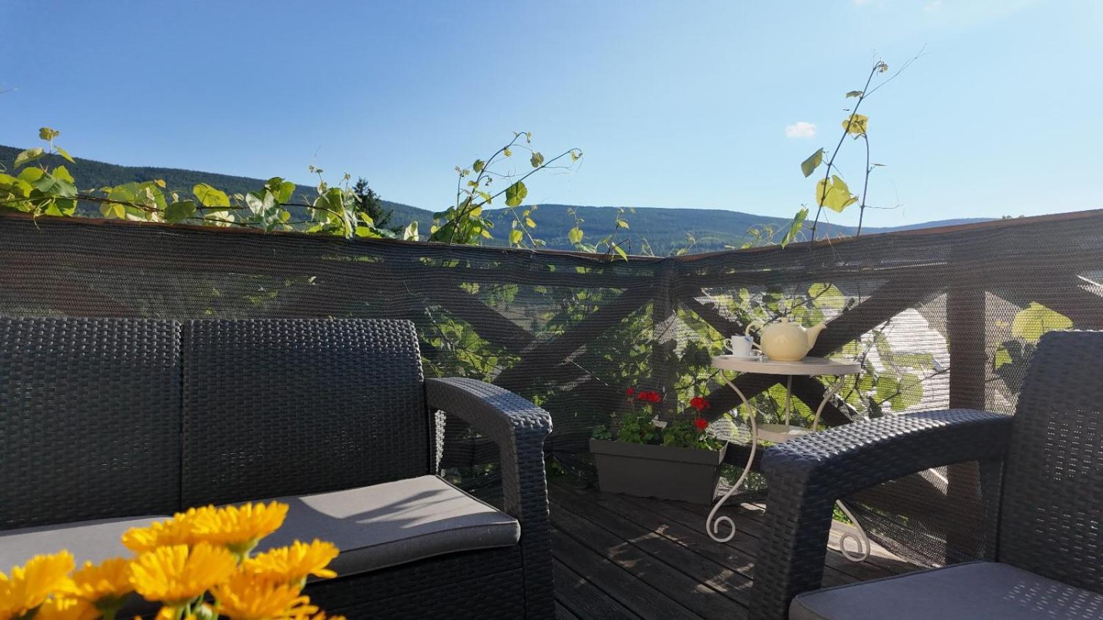 Strefa Ciszy -Lawenda Apartment Swieradow-Zdroj Bagian luar foto
